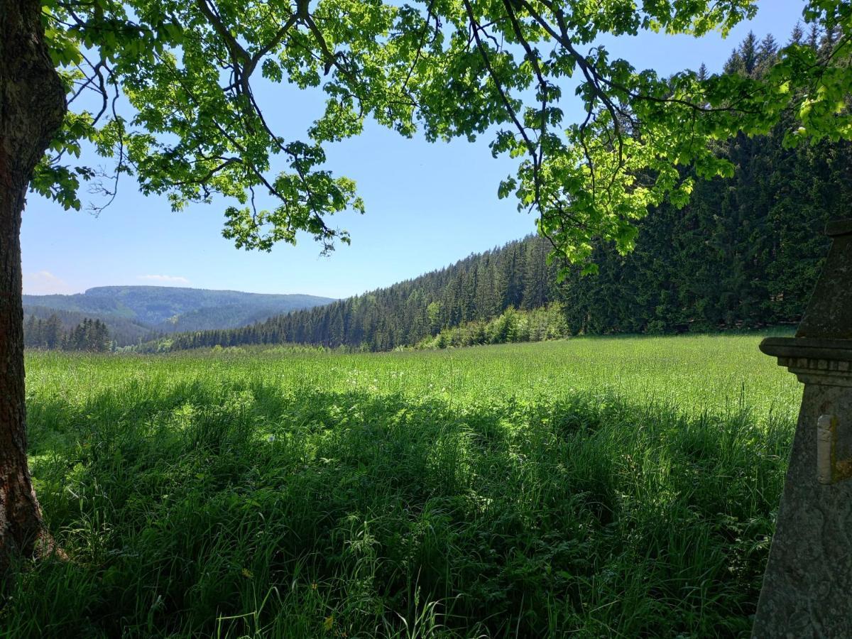 Teplice nad Metují Hotel Koruna Penzion מראה חיצוני תמונה